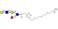 Lacto-N-fucopentaose V...