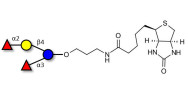 Difucosyllactose (DFL) /...