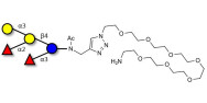 Blood group B pentaose with...