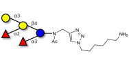 Blood group B pentaose with...