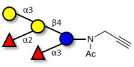 Blood group B pentaose with...