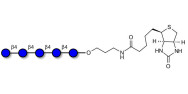 Cellopentaose linked to...