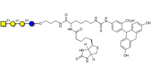 Maltotetraose DP4 (99% HPLC)