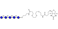 Cellopentaose linked to...