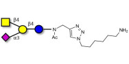 GM2 Ganglioside...