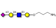 Sialylated tetraose type 2...