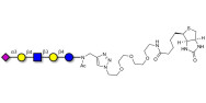 LS-Tetrasaccharide d (LSTd)...