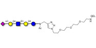 LS-Tetrasaccharide d (LSTd)...