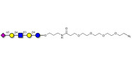 LS-Tetrasaccharide d (LSTd)...