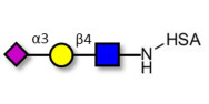 Sialylated triose type 2...