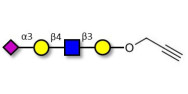 Sialylated tetraose type 2...