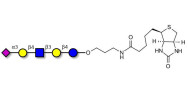 LS-Tetrasaccharide d (LSTd)...