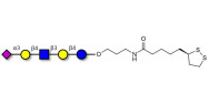 LS-Tetrasaccharide d (LSTd)...