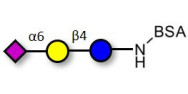 2,6'-Sialyllactose (6'-SL)...