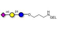 2,6'-Sialyllactose (6'-SL)...