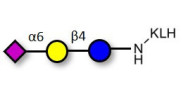 2,6'-Sialyllactose (6'-SL)...