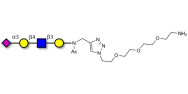 Sialylated tetraose type 2...