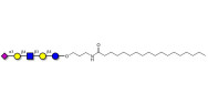 LS-Tetrasaccharide d (LSTd)...