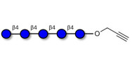 Cellopentaose with terminal...