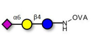 2,6'-Sialyllactose (6'-SL)...