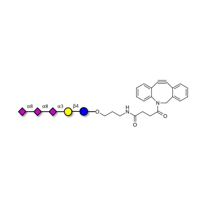 Globo-B Heptaose-Biotin