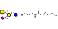 GM2 Ganglioside...