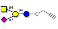 GM2 Ganglioside...