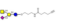 GM2 Ganglioside...