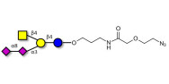 GD2 Ganglioside...