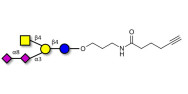 GD2 Ganglioside...