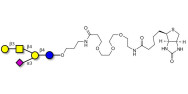 GM1a Ganglioside...