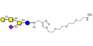 GM1a Ganglioside...