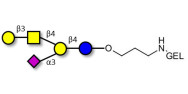 GM1a Ganglioside...