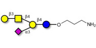 GM1a Ganglioside...