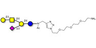 GM1a Ganglioside...