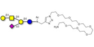 GM1a Ganglioside...