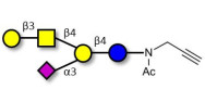 GM1a Ganglioside...