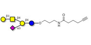 GM1a Ganglioside...