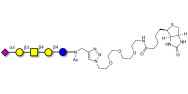 GM1b Ganglioside...