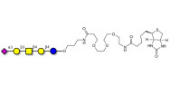 GM1b Ganglioside...