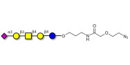 GM1b Ganglioside...