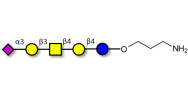 GM1b Ganglioside...