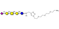 GM1b Ganglioside...