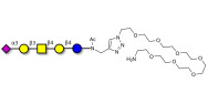 GM1b Ganglioside...