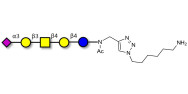 GM1b Ganglioside...