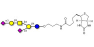 GD1a Ganglioside...