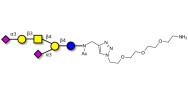 GD1a Ganglioside...