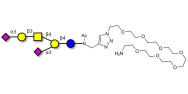 GD1a Ganglioside...