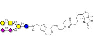 GD1b Ganglioside...