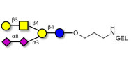 GD1b Ganglioside...